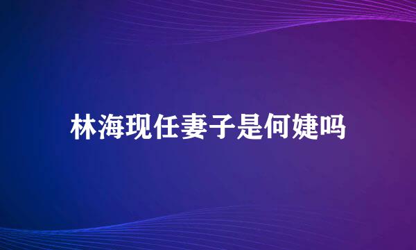 林海现任妻子是何婕吗