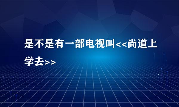 是不是有一部电视叫<<尚道上学去>>