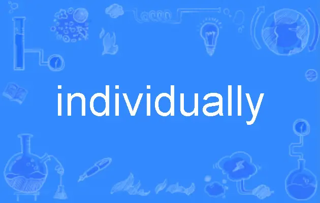 individually什么意思