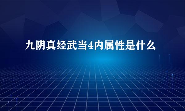 九阴真经武当4内属性是什么