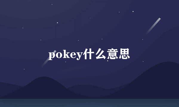 pokey什么意思