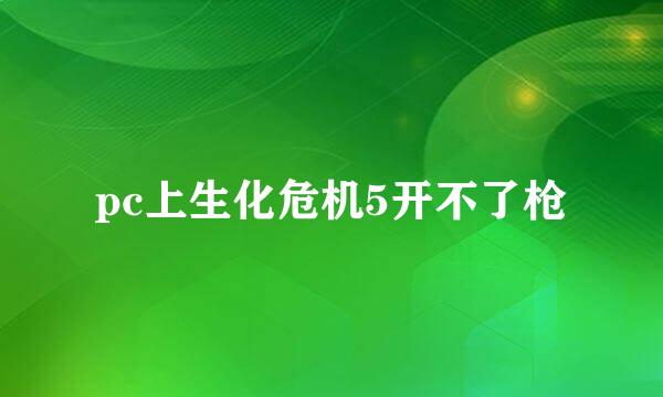 pc上生化危机5开不了枪