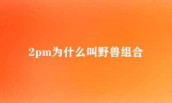 2pm为什么叫野兽组合