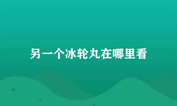 另一个冰轮丸在哪里看