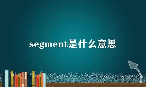 segment是什么意思