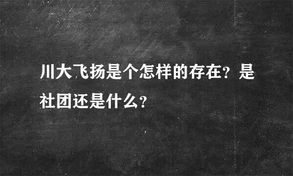 川大飞扬是个怎样的存在？是社团还是什么？