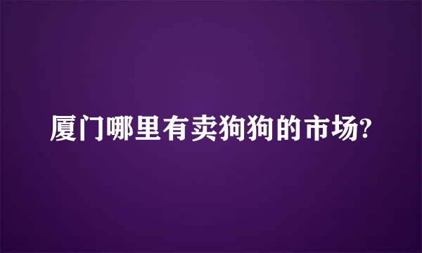 厦门哪里有卖狗狗的市场?