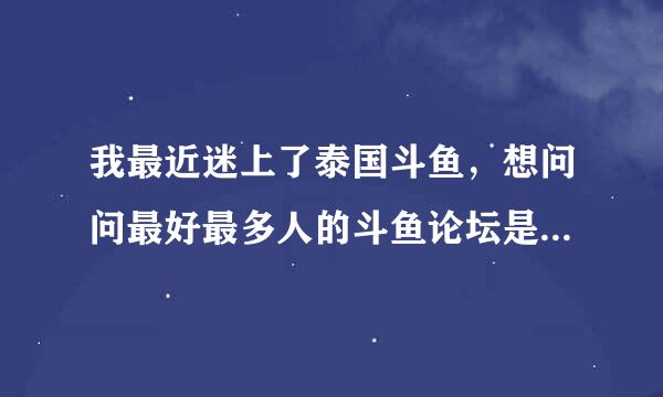 我最近迷上了泰国斗鱼，想问问最好最多人的斗鱼论坛是哪个？很难找到斗鱼的论坛呢...