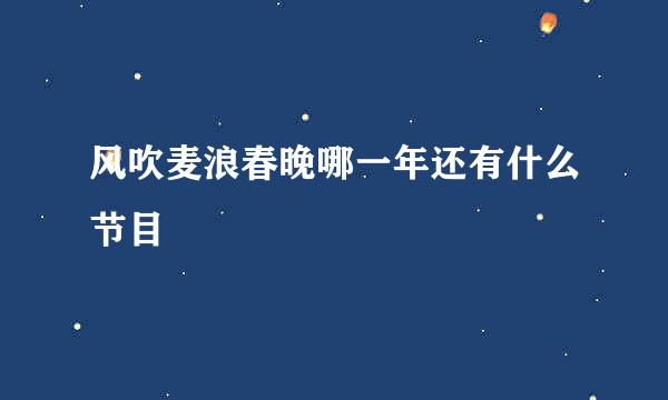 风吹麦浪春晚哪一年还有什么节目