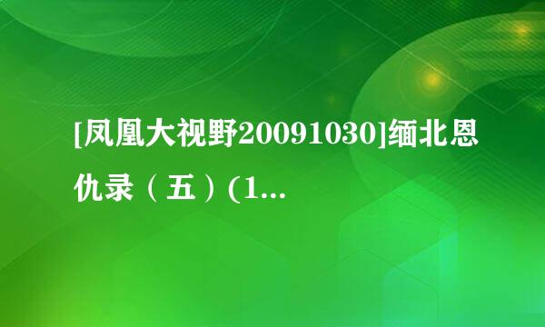 [凤凰大视野20091030]缅北恩仇录（五）(1)种子下载，