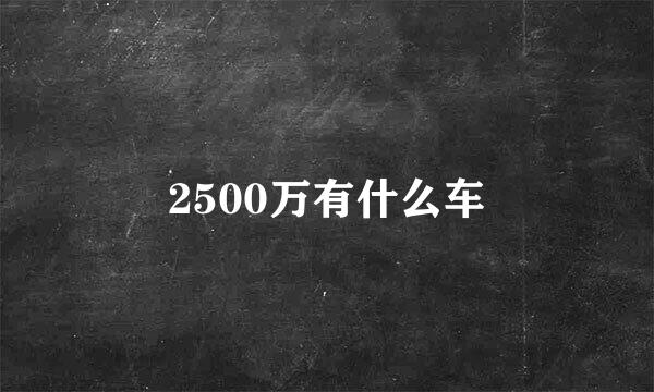 2500万有什么车