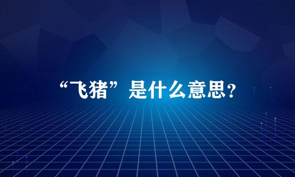 “飞猪”是什么意思？