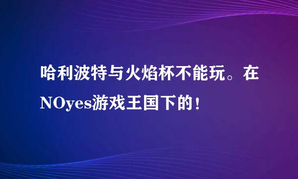 哈利波特与火焰杯不能玩。在NOyes游戏王国下的！