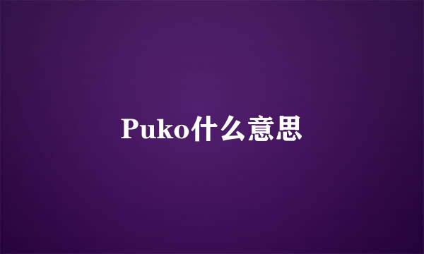 Puko什么意思