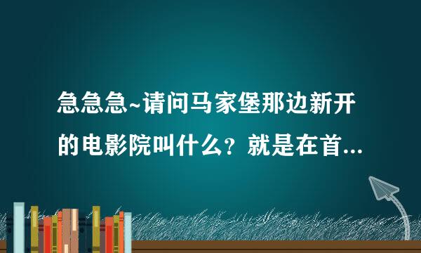 急急急~请问马家堡那边新开的电影院叫什么？就是在首地大峡谷家乐福上面。最近有什么值得推荐的电影吗？