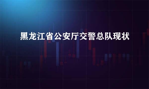 黑龙江省公安厅交警总队现状