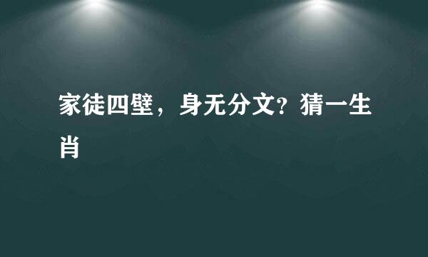 家徒四壁，身无分文？猜一生肖