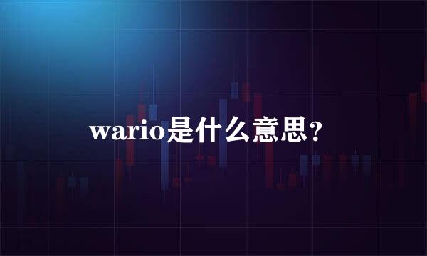 wario是什么意思？