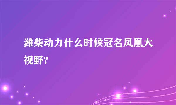 潍柴动力什么时候冠名凤凰大视野?