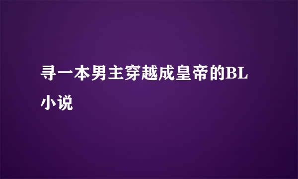 寻一本男主穿越成皇帝的BL小说