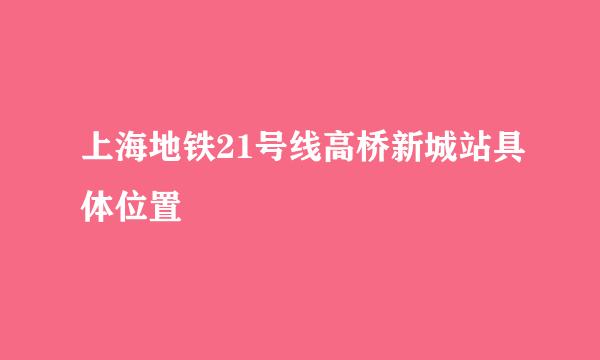 上海地铁21号线高桥新城站具体位置