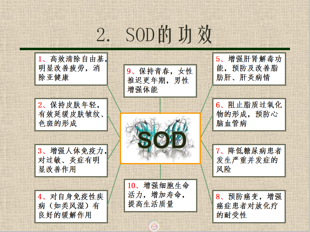 超氧化物歧化酶（SOD)是什么东西？有什么作用？能介绍吗？