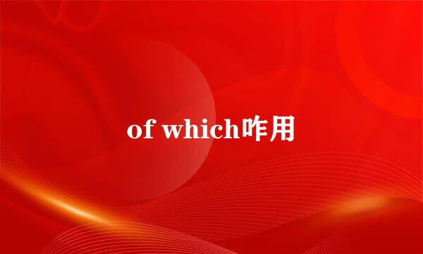 of which咋用