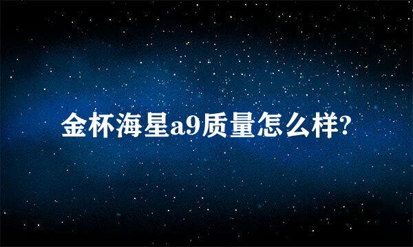 金杯海星a9质量怎么样?