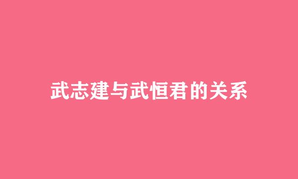 武志建与武恒君的关系