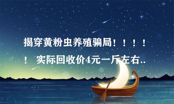 揭穿黄粉虫养殖骗局！！！！！ 实际回收价4元一斤左右..