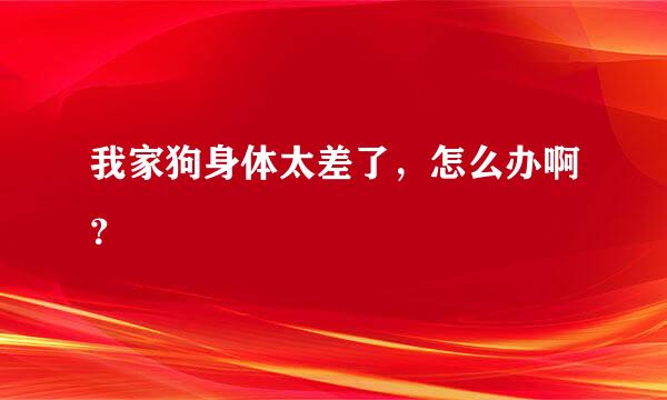 我家狗身体太差了，怎么办啊？