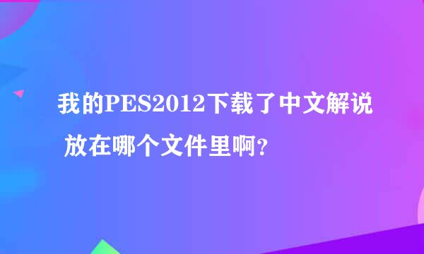 我的PES2012下载了中文解说 放在哪个文件里啊？