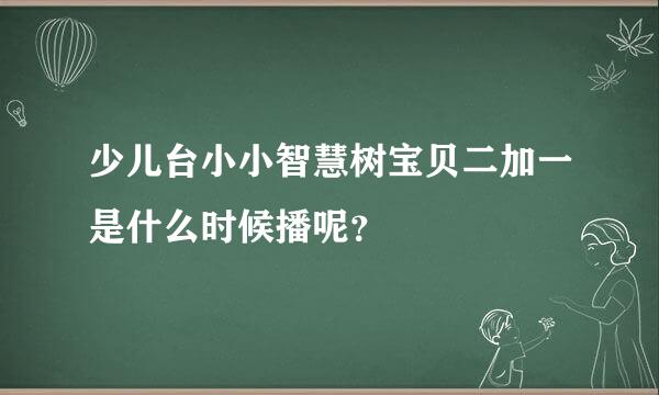 少儿台小小智慧树宝贝二加一是什么时候播呢？