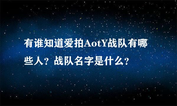 有谁知道爱拍AotY战队有哪些人？战队名字是什么？