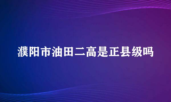 濮阳市油田二高是正县级吗