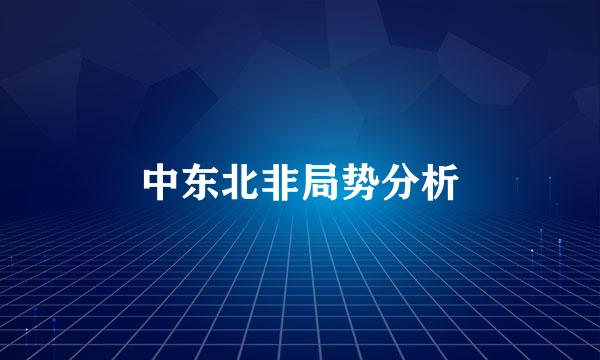 中东北非局势分析