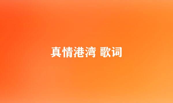 真情港湾 歌词