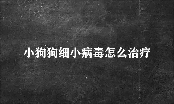 小狗狗细小病毒怎么治疗