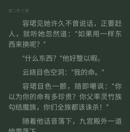 韶晴岚和濯锟是什么小说