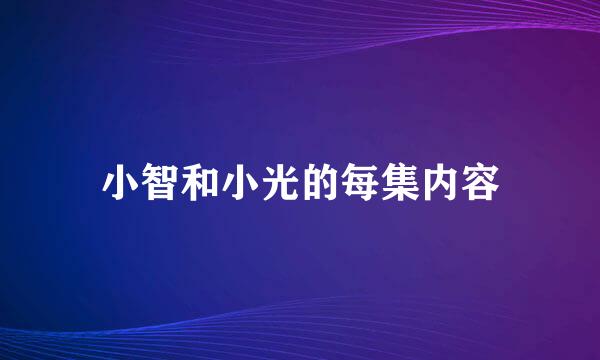 小智和小光的每集内容