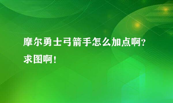 摩尔勇士弓箭手怎么加点啊？求图啊！