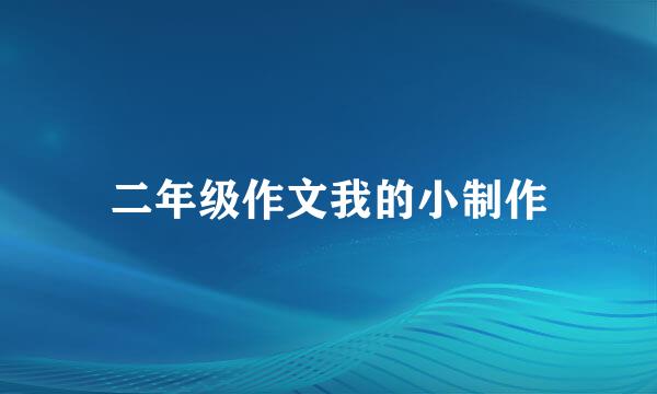 二年级作文我的小制作