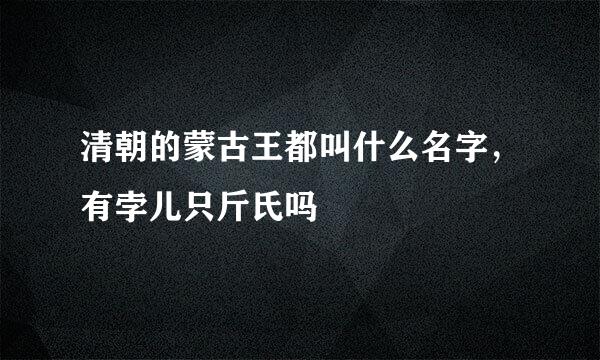 清朝的蒙古王都叫什么名字，有孛儿只斤氏吗