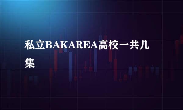 私立BAKAREA高校一共几集