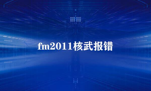 fm2011核武报错