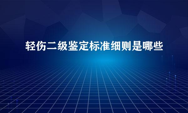 轻伤二级鉴定标准细则是哪些