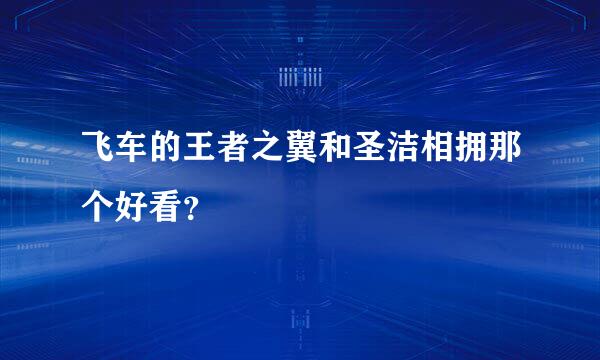 飞车的王者之翼和圣洁相拥那个好看？