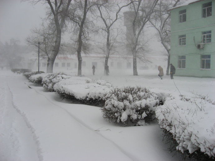 哈尔滨暴雪过后又来冻雨，市民出行需要注意哪些问题？