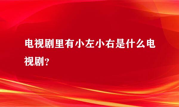 电视剧里有小左小右是什么电视剧？