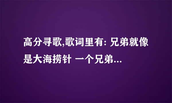 高分寻歌,歌词里有: 兄弟就像是大海捞针 一个兄弟一根针 针与针 不可分 没有纷争